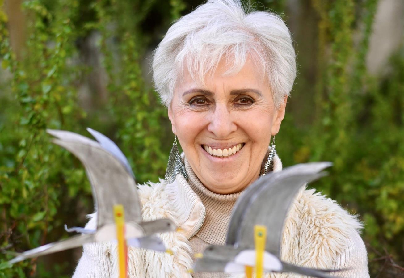 Engineering Moveable Hungarian Birds